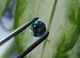 Муассанит 1.95 ct 8.31 x 5.06 mm (4102616) - изображение 3