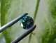 Муассанит 1.95 ct 8.31 x 5.06 mm (4102616) - изображение 5
