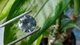 Муассанит 12.66 ct VS1/16.22mm (4133025) - изображение 2