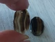 Натуральный агат пара 17 Ct 22 x 13 мм (09311) - изображение 5