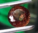 Медовый топаз 15.65 Ct. 14.2 mm (18601) - изображение 6