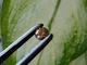 Муассанит 0.73 ct 6.04 MM (855747) - изображение 6