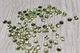 Натуральный перидот 1.5 mm (10341) - изображение 4