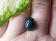 Грандидьерит кабошон 7.83CT (9657066) - изображение 7