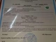 Смарагд 4.28 ct 11.9 x 8.8 x 7.65 мм Сертифікат (672693) - зображення 7