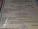 Изумруд 4.55 ct 10.57 X 7.40 X 6.92 mm Сертификат (672678) - изображение 7
