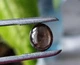 Звездчатый сапфир 3.1 Ct 10.6 x 8.7 x 2.8 mm (42987) - изображение 8