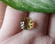 Натуральный цитрин 4.02ct 10mm (347342) - изображение 3