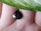 Сапфір 5.79 ct 10.5x10mm (58228) - зображення 4