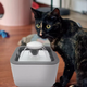 Поїлка для тварин Pet Water FOUNTAIN Автоматична напувалка - фонтан - зображення 4