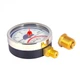 Термоманометр Thermo Alliance Standart 80 мм 1/2", нижня підключка SD1724B - зображення 4