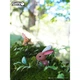 Пазл Eugy 3D Зоопарк Кролик (XEG-071) Eugy XEG-071 1026186 - изображение 6