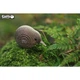 Пазл Eugy 3D Зоопарк Киви (XEG-001) Eugy XEG-001 1026153 - изображение 6
