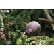 Пазл Eugy 3D Зоопарк Киви (XEG-001) Eugy XEG-001 1026153 - изображение 9