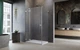 Душевая кабина RADAWAY Essenza Pro Brushed Nickel KDJ 100Lx120x200 10097100-91-01L+10098120-01-01 - изображение 3