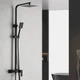 Душевая система WEZER PRO16-02-BLACK, излив - переключатель на лейку, 3-функции, черный - изображение 2