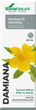 Дієтична добавка Soria Natural Damiana Extracto 50 мл (8422947044190) - зображення 1