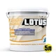 Краска грунт с кварцевым песком и мраморным наполнителем LOTUS 5 л - изображение 2