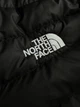 Куртка чоловіча з капюшоном The North Face чорний S - изображение 5