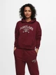 Худі ONLCOLLEGE LIFE L/S HOOD SWT 15235558 Cabernet ONLY XL Бордовий 15235558CABERNET XL - изображение 1