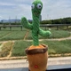 Плюшевая говорящая игрушка танцующий кактус с USB питанием и подсветкой1 - изображение 10