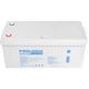 Аккумуляторная батарея Prologix 25.6V 100AH 2560Wh (PLFP24-100) LiFePO4 - изображение 2