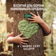 Жидкость для мытья посуды L'Arbre Vert Цветок вишни 500 мл (3450601047138) - изображение 4