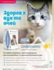 Цифлодекс БРОВАФАРМА капли глазные и ушные 10 мл для собак и кошек антибактериальное противовоспалительное противоаллергическое средство - изображение 3