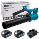 Аккумуляторная воздуходувка PROFI-TEC PLB2036BL POWERLine (2×PT2040MP (4.0 Аг), зарядное устройство) - изображение 3