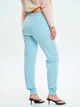 Спортивные штаны женские ROZA 200124 3XL Серо-голубые (4824005756450) - изображение 2