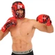 Перчатки боксерские кожаные на липучке Fistrage Fight Gear 79211 размер 10 унций Red-Black - изображение 8