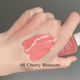 Жидкие румяна для лица House of Hur Moist Ampoule Blusher Cherry Blossom 20ml - изображение 2