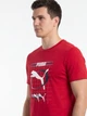 Футболка хлопковая длинная мужская Puma Graphics 69178611 M For All Time Red с принтом (4069161741876) - изображение 3