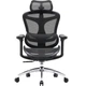 Крісло офісне Sihoo Doro C300L Mesh Black (DORO-C300L-A3-101) ( 16900 ) - зображення 1
