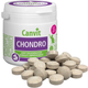 Витаминно-минеральный комплекс для котов Canvit Chondro 100 г can50743 - изображение 1
