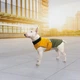 Попона Pet Fashion Roy для собак хакі/гірчиця XL 4823082432851 - зображення 7