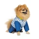 Костюм Pet Fashion TENDER для собак біло-блакитний M 4823082427635 - зображення 2