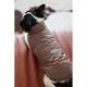 Жилет Pet Fashion Hardy для собак утеплений водонепроникний з отвором для повідця бежевий розмір S 4823082437528 - зображення 5
