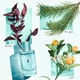 Парфюмированная вода для женщин Tiffany & Co Love For Her 50 мл - изображение 3