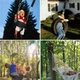 Набір для кріплення гамака та гойдалки Trizand 23597, до 150 кг, універсальний комплект - изображение 8