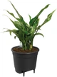 Вставка з автополивом Elho Self-Watering Insert 17 см Чорна (331566) - зображення 2