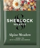Набор зеленого чая Sherlock Secrets Ассорти 4 вкуса по 12 саше 80.4 г (4823118608342) - изображение 6