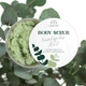 Скраб для тіла сольовий Eucalyptus & Mint з екстрактом евкаліпту та олією мигдалю Lunnitsa 300 г - зображення 2
