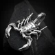 Серебрянный подвес Скорпион 925 пробы - изображение 1