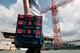 Кейс Metabo metaBOX 145 для шуруповерта и гайковерта BS L/BS LT/SB L/SB LT, 18 В (626886000) - изображение 4