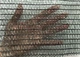 Сітка затіняюча 45% УФ-стаб. для захисту рослин від сонця 50х12 м Темно-зелений - зображення 3