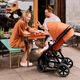 Прогулянкова коляска ABC Design Avus carrot (12004512400) - зображення 7