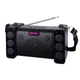 Портативная колонка NEWVEW NV-9172 Solar Panel/BT/USB/TF/FM Black - изображение 1
