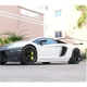 Накладки на Пороги (Карбон) для Lamborghini Aventador 2011-2022 гг - изображение 2