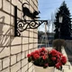 Кронштейн Кот с бабочкой, маленький, крепление для кашпо с цветами, настенный держатель горшков, метал, чорний - изображение 2